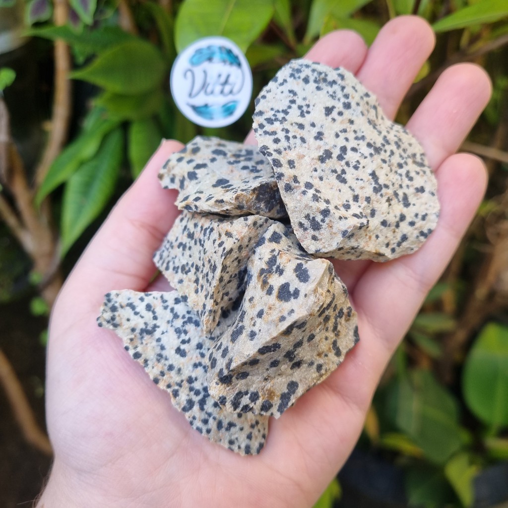 Jaspe Dálmata -  A Criança Interior - Pedra Natural Bruta