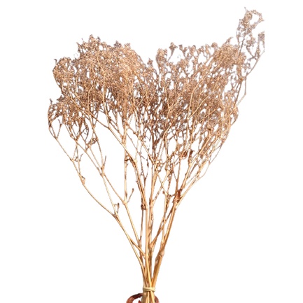 Gipsofila Natural: Onde Comprar | BuscaProdutos