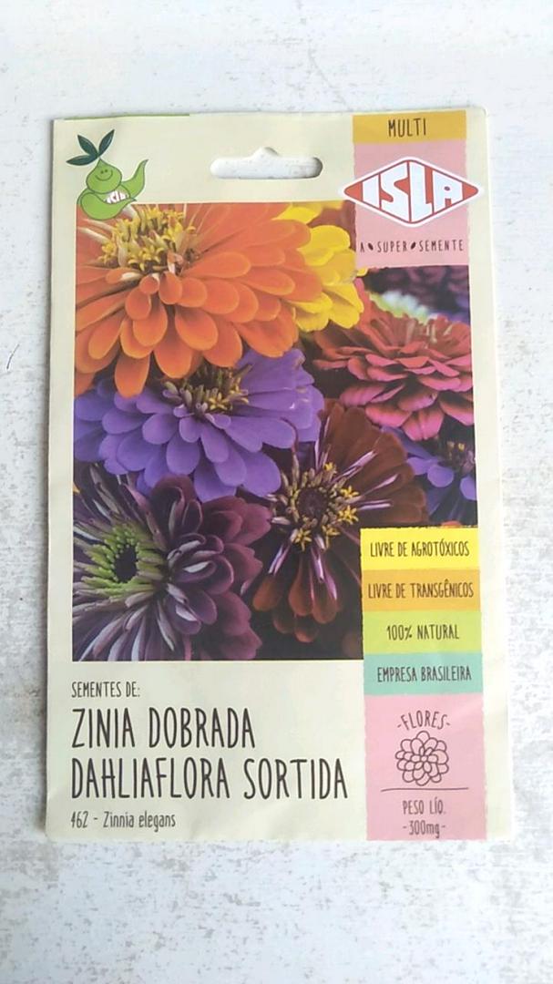 360 Sementes De Flor Zinnia Dobrada Dahliaflora Sortida Isla | Shopee Brasil