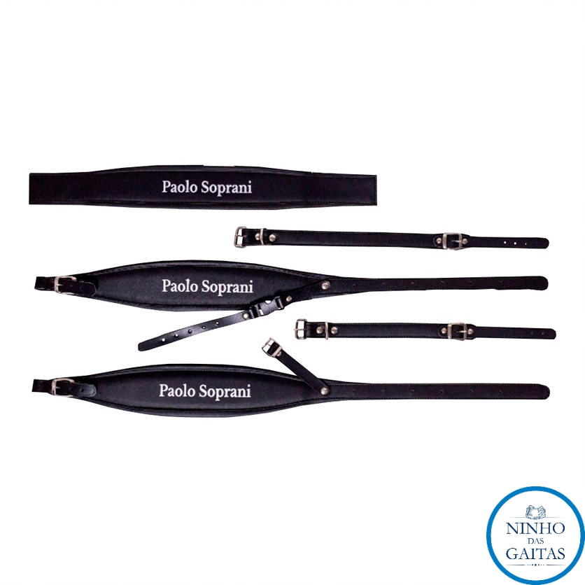 Acordeon Paolo Soprani: Onde Comprar | BuscaProdutos