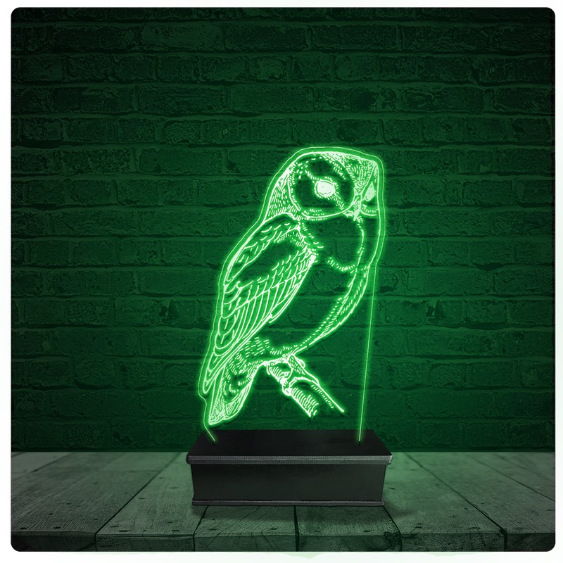 Luminária Abajur Acrílico Led - Coruja Ave falcoaria