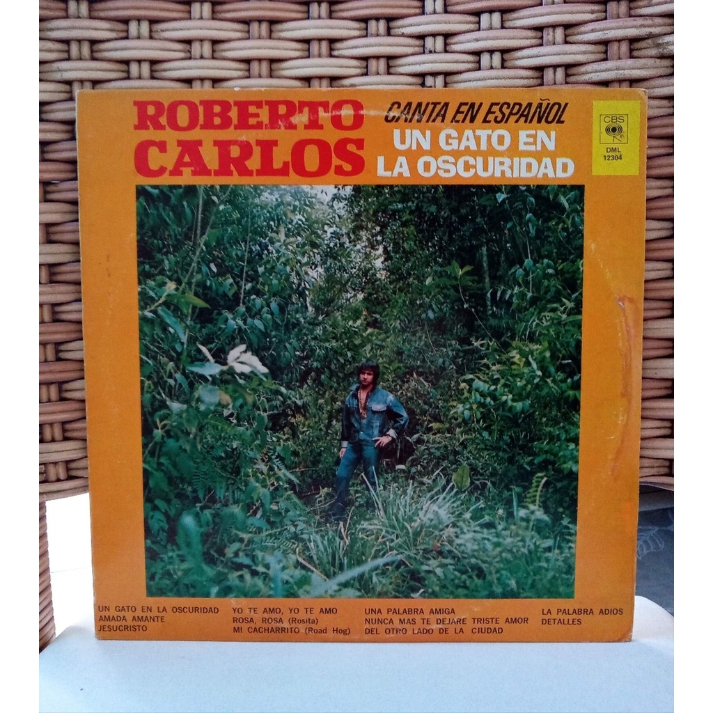 LP Roberto Carlos Canta En Espanõl : Un Gato En La Obscuridad - Importado EUA - 1980