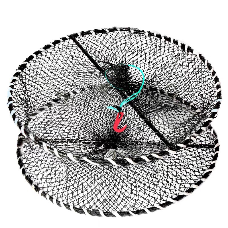 Armadilha para Siri: Onde Comprar | BuscaProdutos