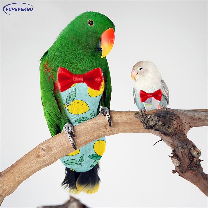 RE Fato De Vôo Fofo De Pássaros Com Fraldas De Papagaio De Estimação Laço Roupas Para Periquitos Pomba Média Grande em Oferta na Shopee