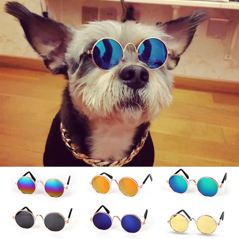 Produtos Para Animais De Estimação Adorável Rodada Do Vintage Óculos De Sol Gato Reflexão Olho Wear Cães Pequenos Pet