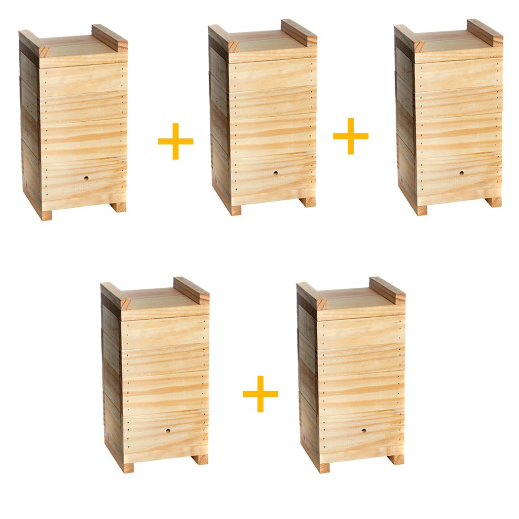 Kit com 5 caixas para abelhas jatai, Iraí, Mirins, Marmelada modelo inpa completo 10x10