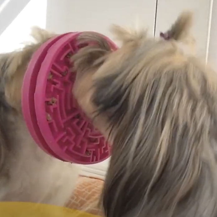 Comedouro Lento Brinquedo Labirinto para Cachorros Pet Games Verde Pink Laranja