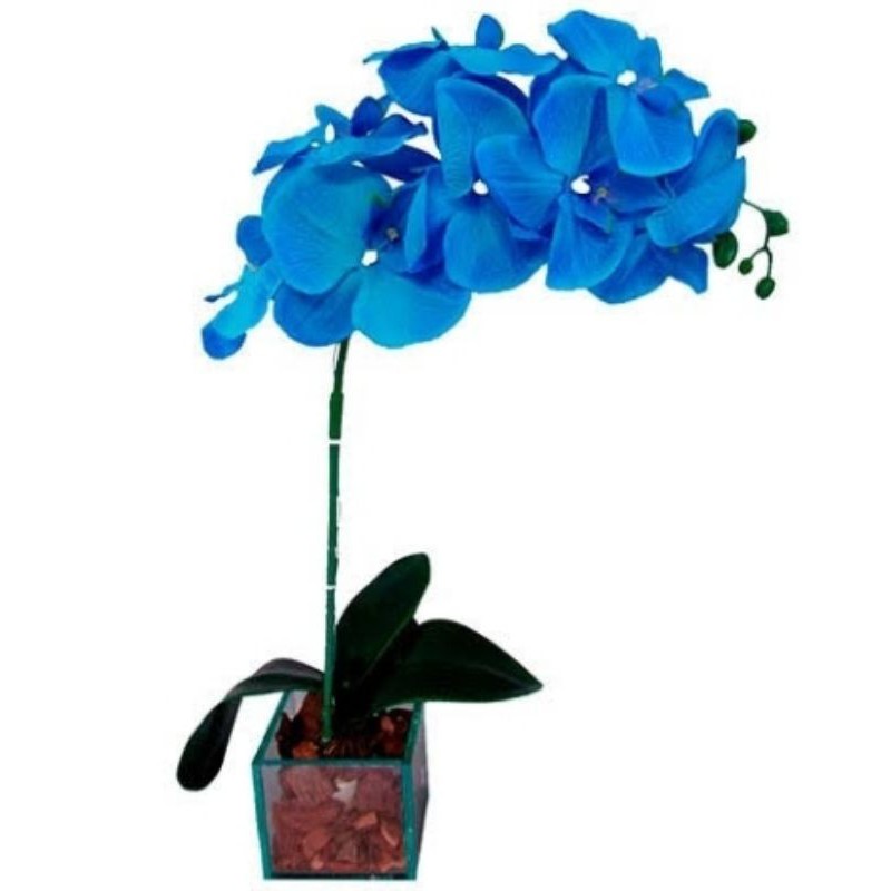Arranjo floral com orquídea azul artificial em vaso de vidro transparente |  Shopee Brasil