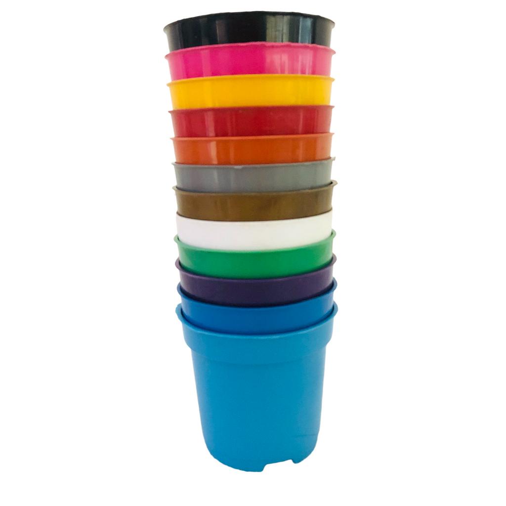 100 Vasos Pote 6 Plástico Muda 80ml Suculentas Cactos COLORIDO