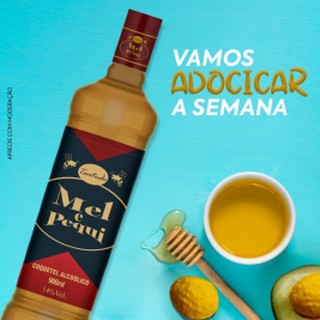Bebida Coquetel Paratudo 900ml Mel e Pequi