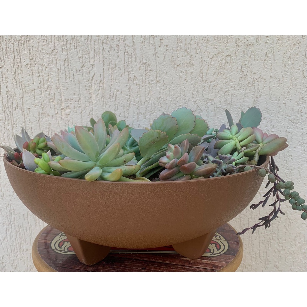 Vaso Bacia Polietileno Para Suculentas Plantas Escovado modelo grande ...