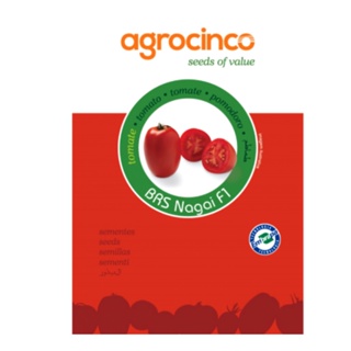 100 Sementes Tomate Hibrido Brs Nagai F1 Agrocingo Embrapa - Envio Imediato com Nota Fiscal em Oferta na Shopee