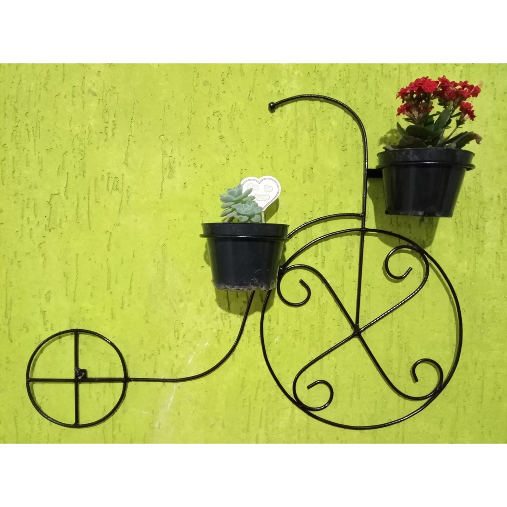 Suportes de Plantas Bicicleta de parede para plantas - Suporte de Plantas Modelo Bicicleta suportes de Vasos