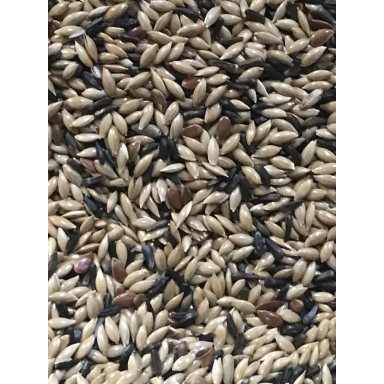 Ração Canário, Coleiro, Curió e Pintassilgo - Alpiste Canadense+ Níger +Linhaça marrom | 5kg