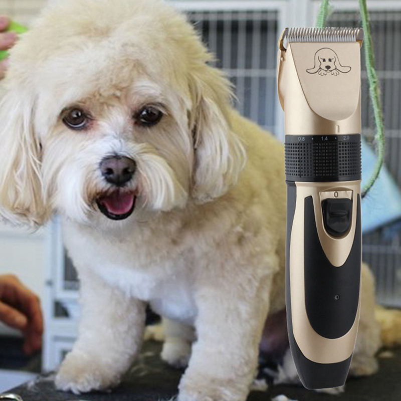 dog razor shopee