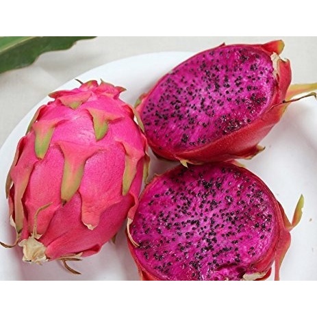 Fruta Dragao 10 Sementes De Polpa Roxa | Shopee Brasil