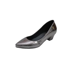 Scarpin Feminino Tradicional Casual Bico Fino Prata Velho