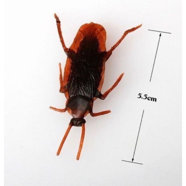 Barata Decorativa Halloween 5cm Artificial plástico