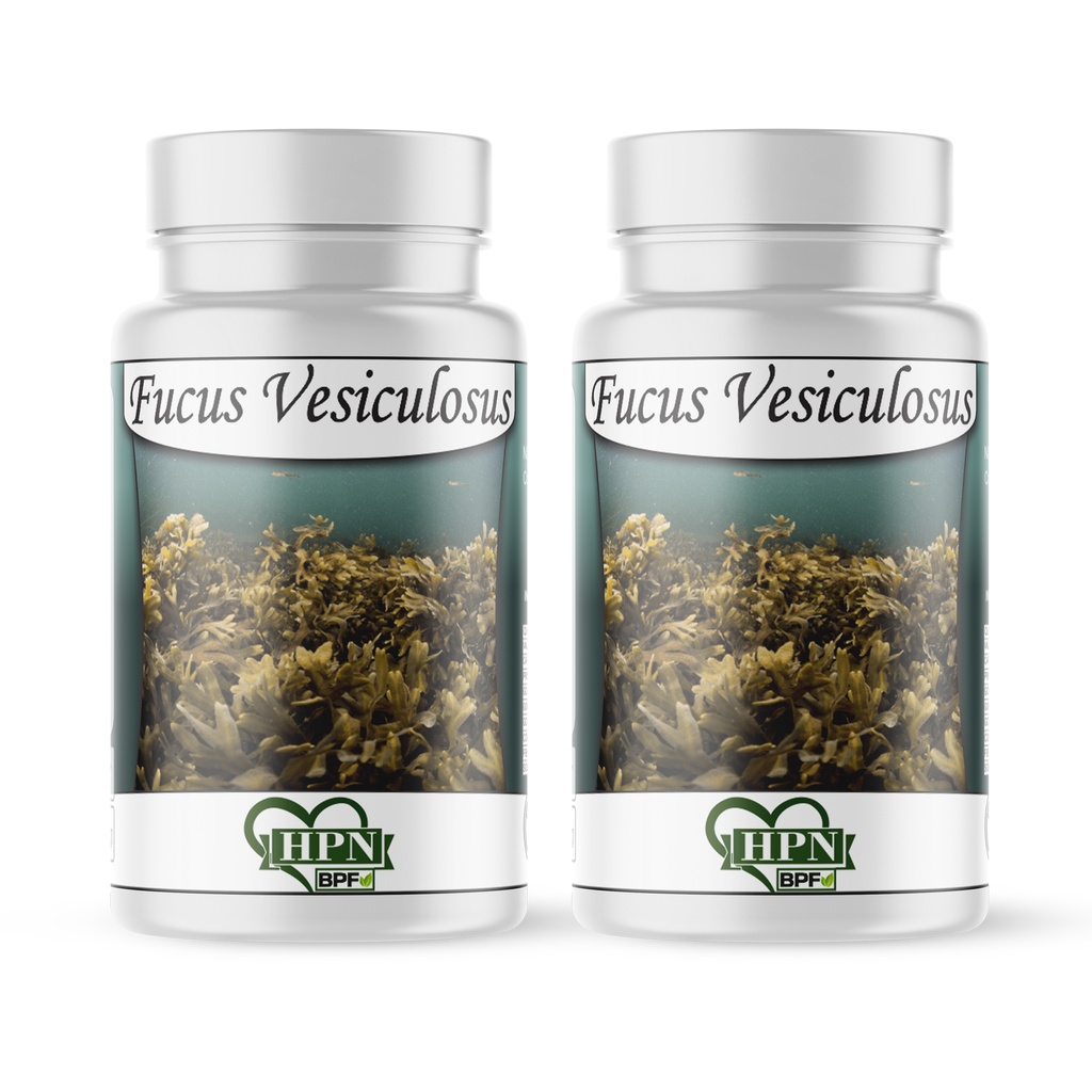 Fucus Vesiculosus Alga Natural Extrato 120 Cápsulas / 500mg Pura em Oferta na Shopee