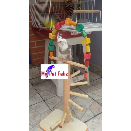Brinquedos para calopsita - brinquedo calopsita - brinquedos para aves pequenas - poleiro divertido colorido