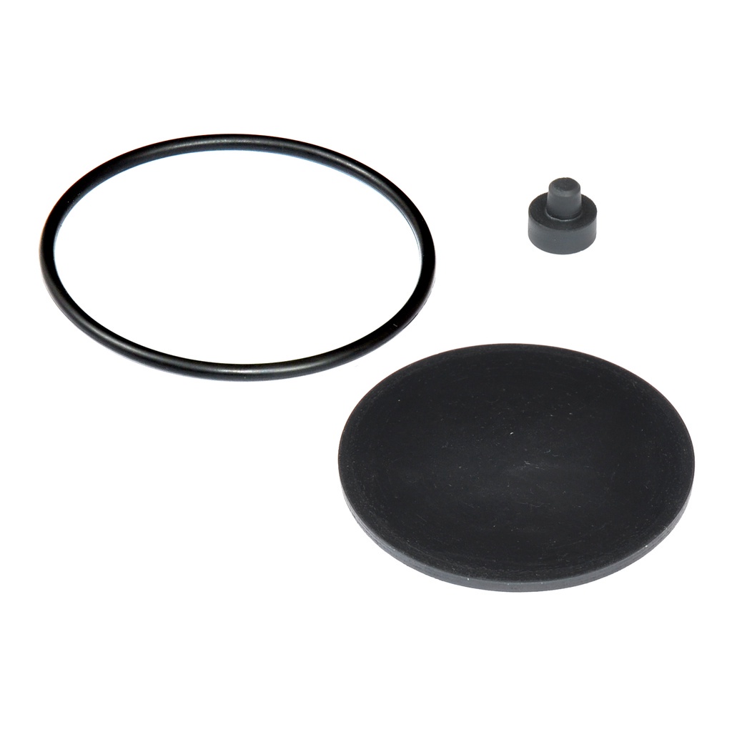 Kit 10 Reparo Para Valvula Descarga Rapida Knorr M.benz/volv