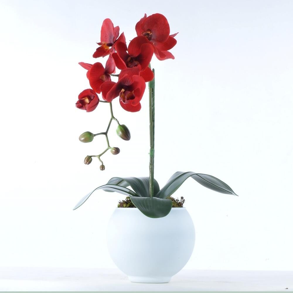Arranjo de Orquídea Vermelha em Vaso Branco Fosco | Shopee Brasil