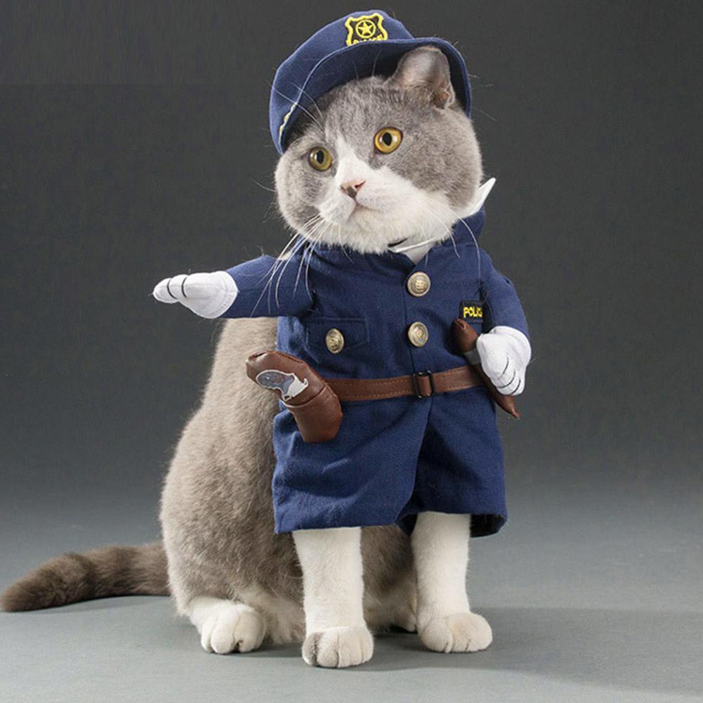 A Roupa Do Cão Engraçado Legal Pet Traje Terno Casaco Roupas Para Filhote De Cachorro Enfermeira