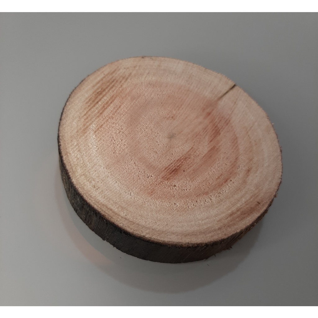 Bolacha de madeira natural para decoração, plantas, plantação, horta, suculentas, cactos, jardim, jardinagem, área