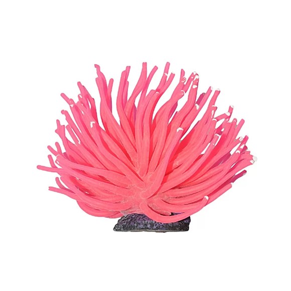 Enfeite Aquário Anemona Short Soma Rosa 11cm
