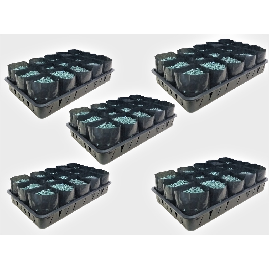 Bandeja + saquinhos para produção de mudas flores - kit para plantar