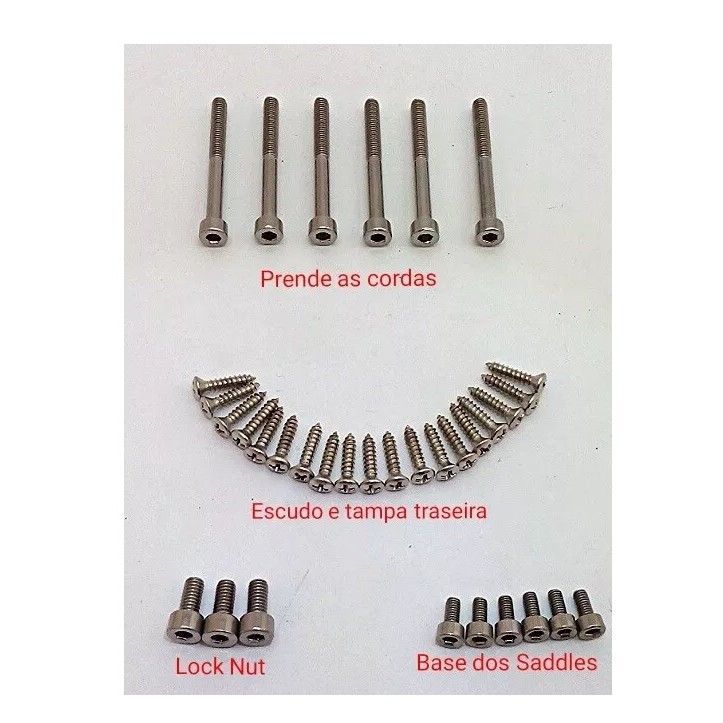 Kit Completo de Parafusos Inox P/ Ponte Floyd Rose Guitarra Com Escudo.