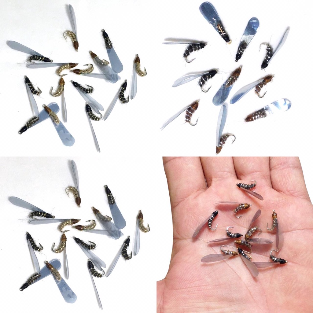 Isca artificial para Lambari Tilápia aleluia mosca Kit Com 5 Isca Fly
