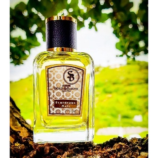 Bourdeaux Male - Eau de Parfum Vínico de Carvalho, all natural, Acordes amadeirados e frescor frutal especiado.