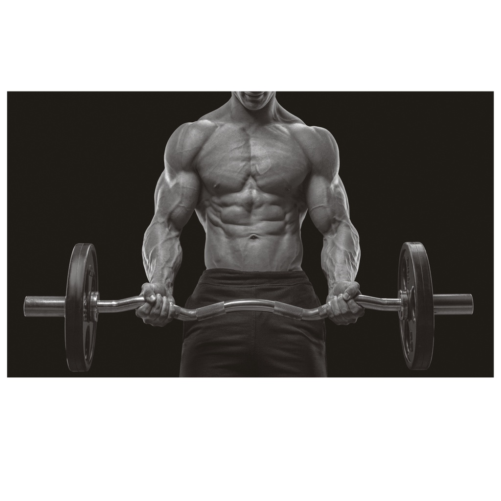 Adesivo De Parede Academia Fitness Pilates Musculação J 42
