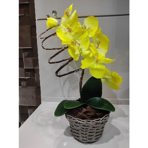 Arranjo Artificial Orquídea Amarela - Folhas Largas - 01 Haste. | Shopee  Brasil