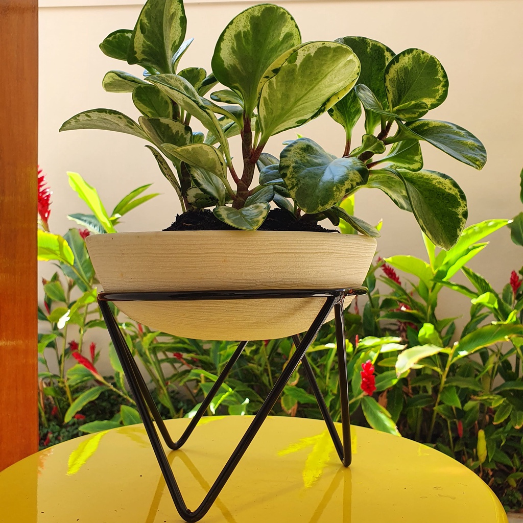 Suporte Tripé de Ferro para Vasos Bacias de 20cm Plantas de Chão