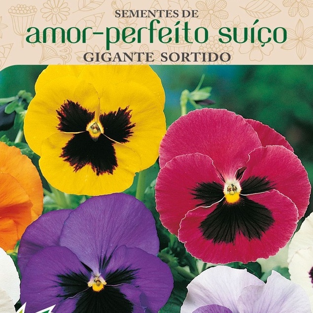 Sementes Amor-perfeito Suíço Gigante Sortido 100mg Topseed Garden | Shopee  Brasil