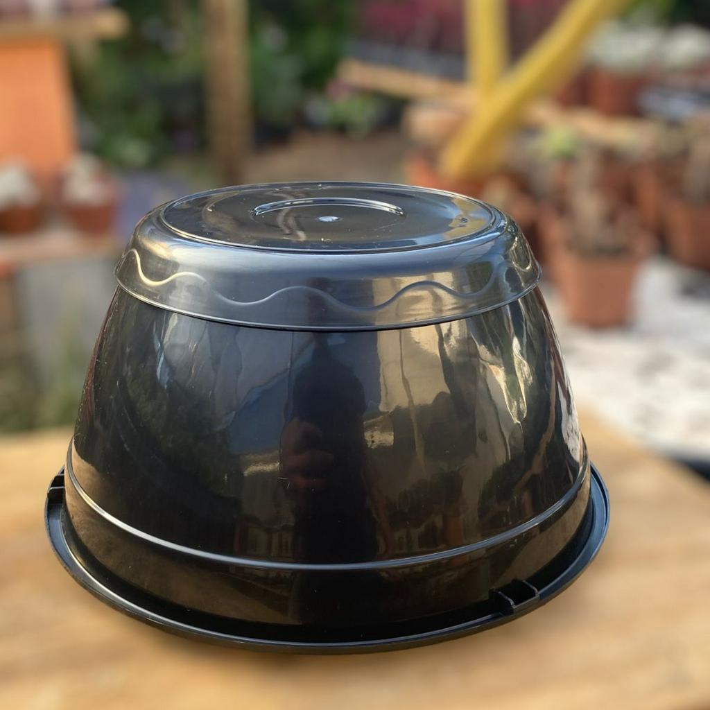 5 Vaso Cuia N22 Preta Com Prato Embutido Plantas Cultivo Jardim Casa Estufa