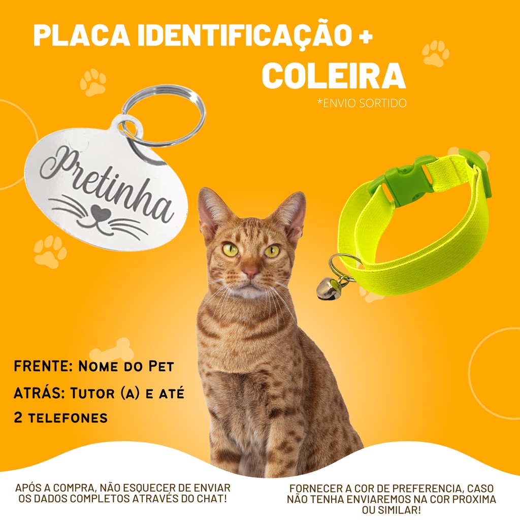 Coleira Guizo Com Placa de Identificação Pet Plaquinha Pingente Personalizada Para Gatos