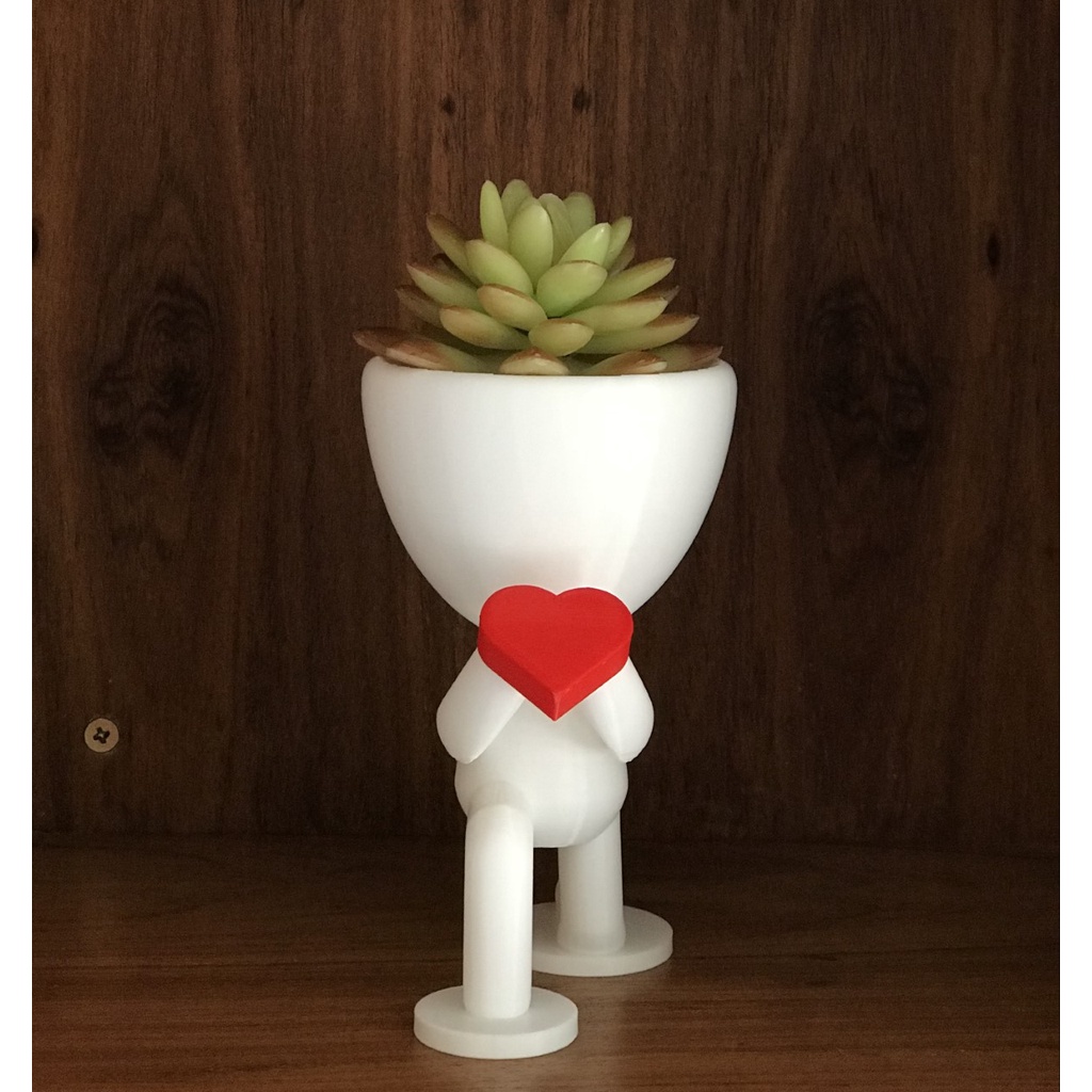 Vaso Decorativo Robert Plant Love para Suculentas e Cactos