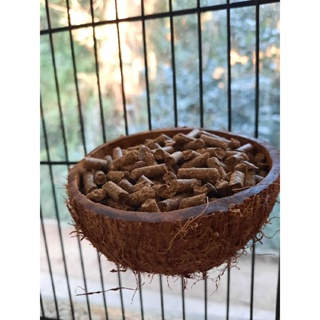 Comedouro/Comedor casca de coco Gerbil, Camungondo, Porquinho Da Índia, Chinchila, Twister, Hamster - Roedores em Oferta na Shopee