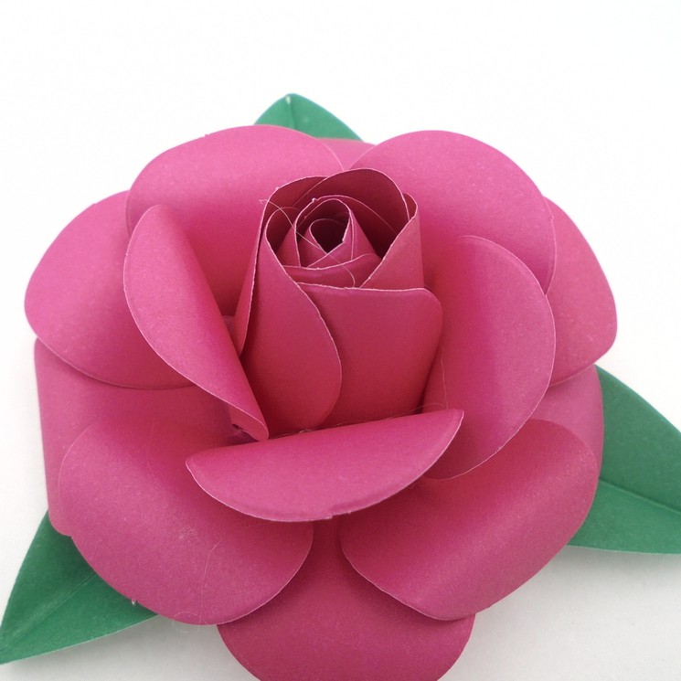 Kit 6 Mini Rosas Na Cor Rosa Pink De Papel Color Set – Florzinhas De Papel  – Flores Delicadas Produzidas Em Papel Color Set | Shopee Brasil