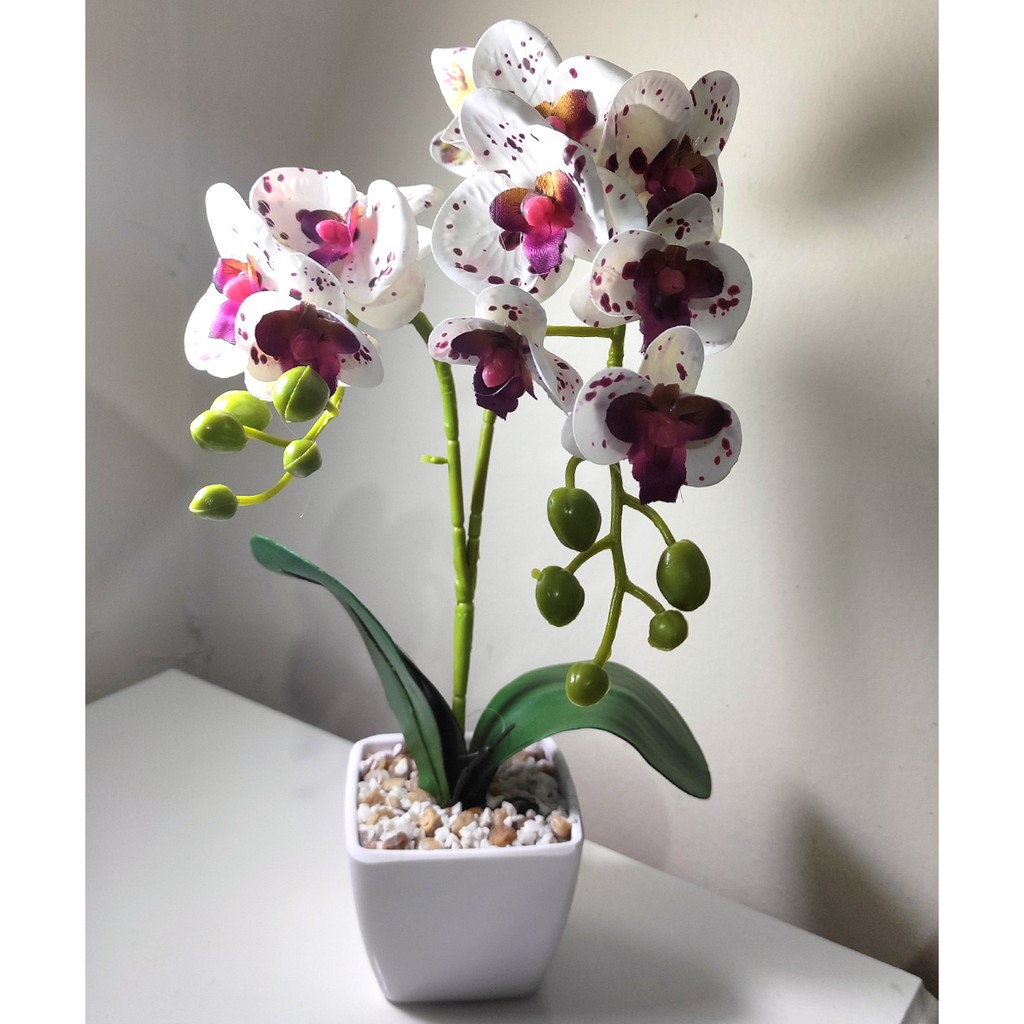 orquídea artificial com vaso plastico 30cm | Shopee Brasil