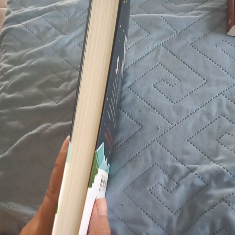 O Presente do Meu Grande Amor: Doze Histórias de Natal | Shopee Brasil