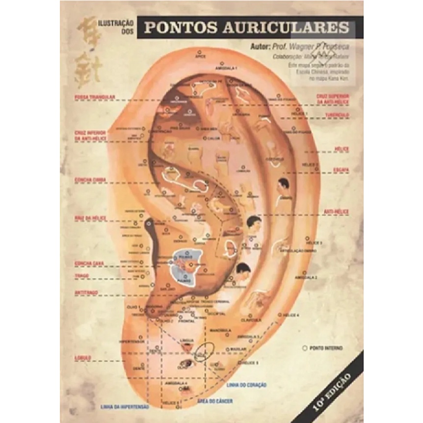 Mapa Auricular Plastificado Professor Wagner 13ª Edição