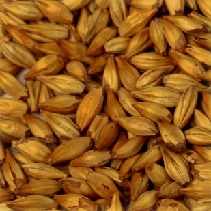 Bebidas Cara: Guia Completo e Onde Comprar | BuscaProdutos