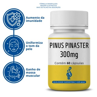Kit Pinus Pinaster 300mg 60 cps - ( Antioxidante natural, Imunidade, Combate do envelhecimento, Ganho de massa muscular )
