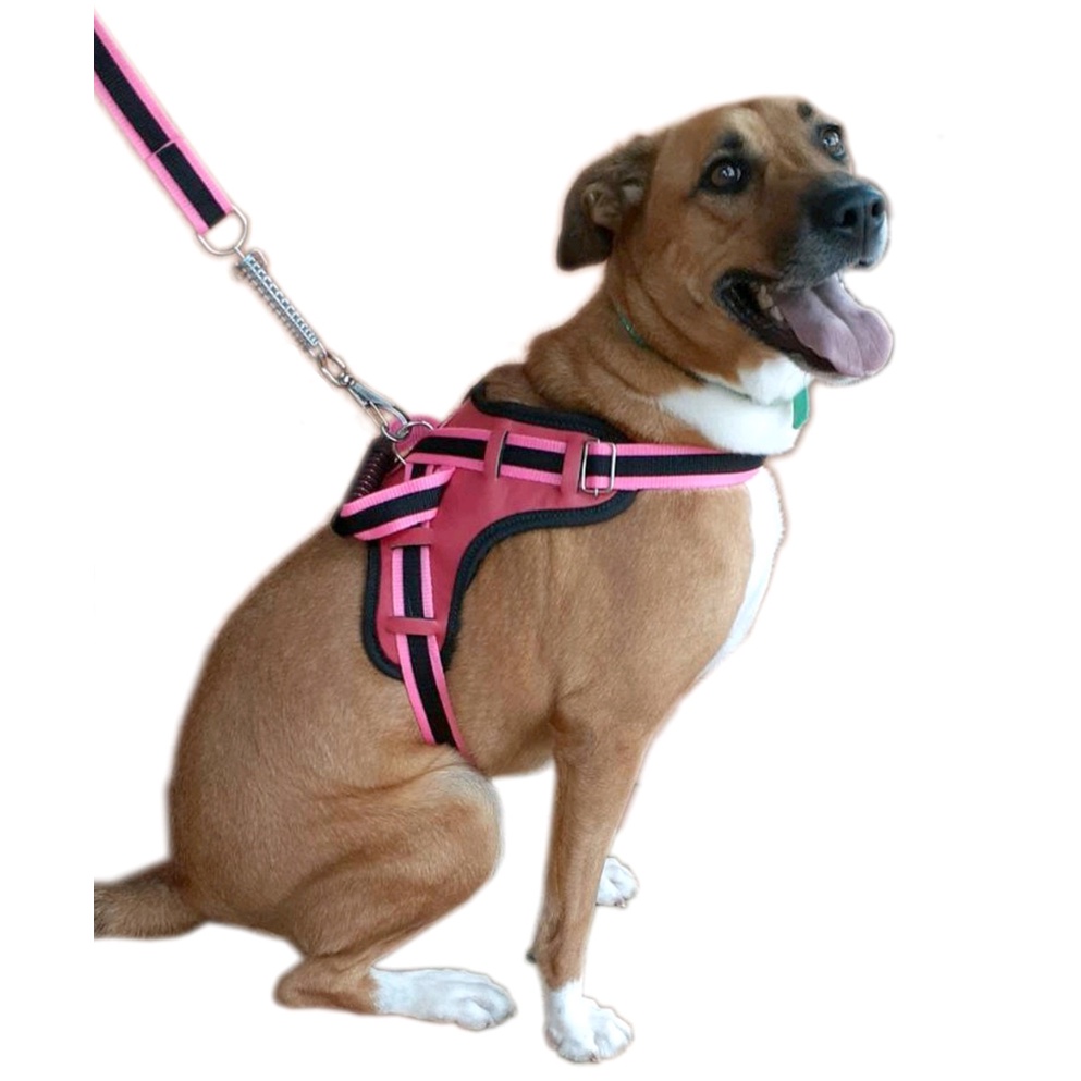 Coleira Peitoral Pit Bull Pet Cachorro Dog Cão Grande Porte Collars FlyHarness
