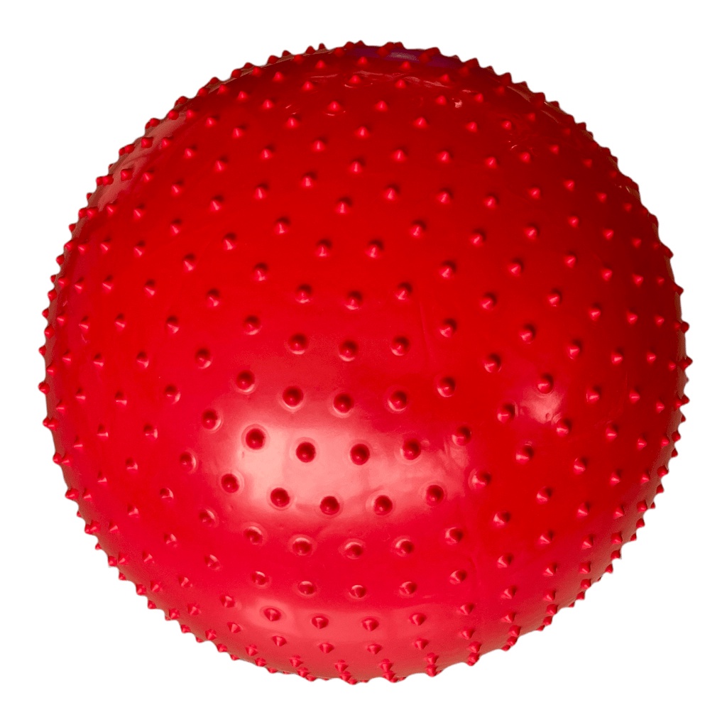 Bola de Pilates 65cm Suíça Ginástica Textura Cravo Odin Fit em Oferta na Shopee