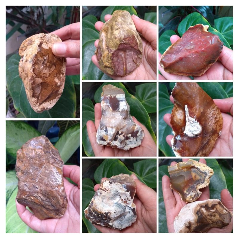 1 geodo pedra bruta natural ágata Cornalina jaspe madeira a escolher Cant
